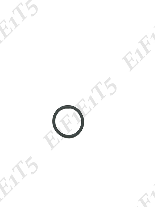Valve O-Ring
