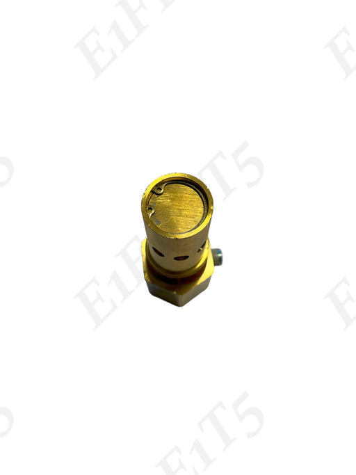 In-Tank Check 1" NPT Brass Valve