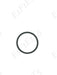 O-Ring (N25327)