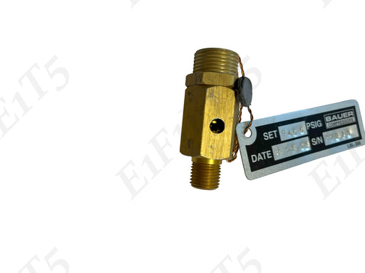Safety Relief Valve